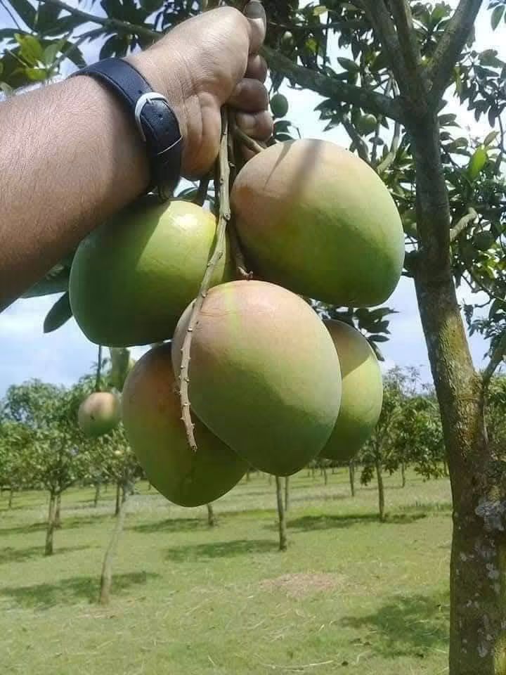 WhatsApp Image 2026-06-16 at 12.16.03 AM (1)